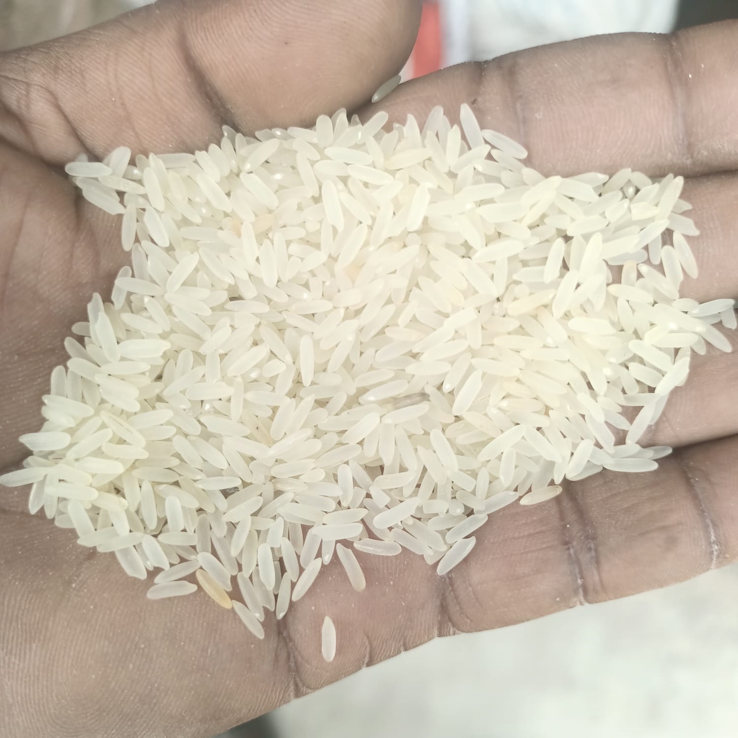 প্রিমিয়াম মিনিকেট চাল