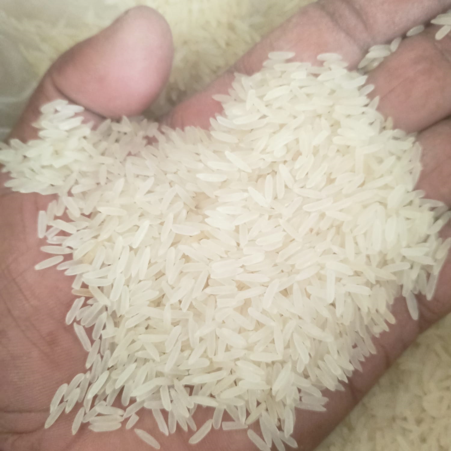 চালের বাস্তব ছবি